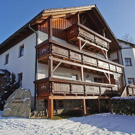 Haus Haidweg - Ferienwohnungen In Haidmuehle Im Dreilaendereck De-Cz-At Bagian luar foto